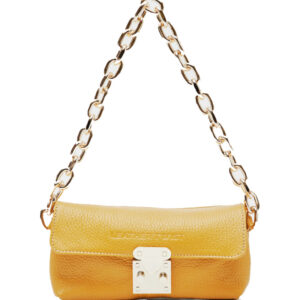 Leather Bag With Gold Chain